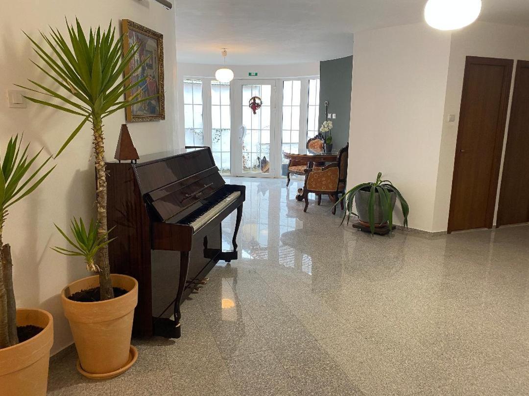 Budux Delux Vila Sacele Exterior photo